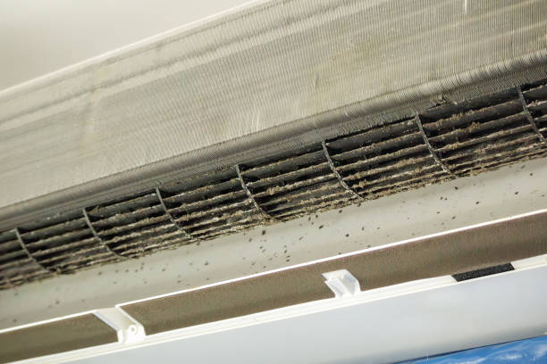 Best Residential Air Duct Cleaning  in Milford Square, PA